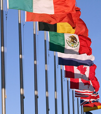 United nations flags